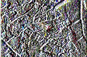 Προσβολή γυμνοσαλιγκαριού (ΑςποΙϊηΐθχ βςγβεϋε) σε φύλλο λάχανου (Ζούμη, 2009). 1.15.5. Έντομα Εδάφους (Agriotes ερρ., Agrot s ερρ.) Σιδηροσκώληκες (Αςηοΐβε ερρ.) Καραφατμέ (ΑςΓοϋε δβρβώπ?, Α.