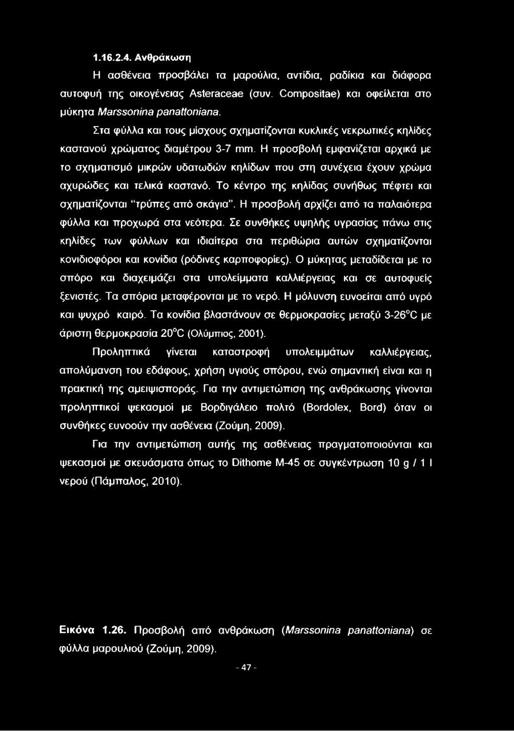 Η προσβολή εμφανίζεται αρχικά με το σχηματισμό μικρών υδατωδών κηλίδων που στη συνέχεια έχουν χρώμα αχυρώδες και τελικά καστανό.