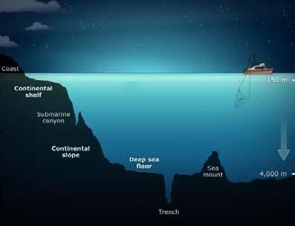Μερικά από τα ξεχωριστά χαρακτηριστικά του ωκεανού Το μέσο βάθος του ξεπερνά τα 4 km Μερικά από τα
