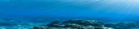 Χημική Ωκεανογραφία Χημική Ωκεανογραφία Ερευνά τη χημική σύσταση και τις χημικές ιδιότητες του θαλάσσιου