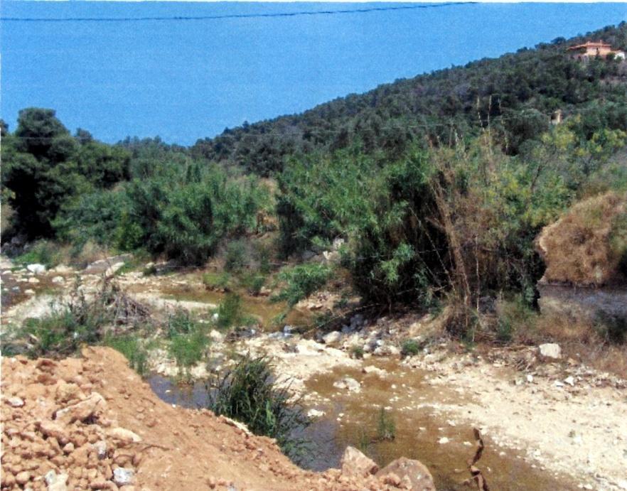 θνίηε