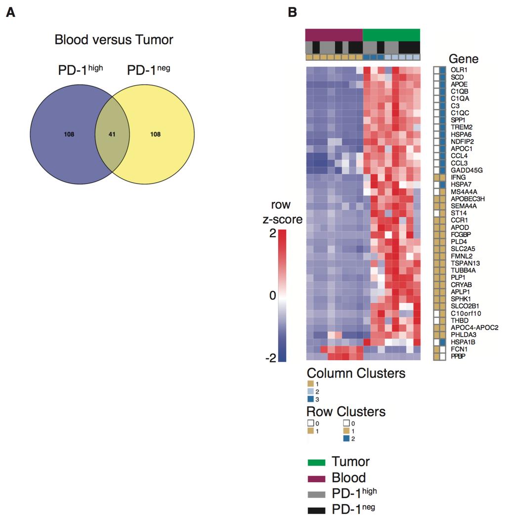 1 2 3 4 5 6 7 8 Supplementary Figure 12. Differential expression of Programmed cell death protein 1 (PD- 1) high or PD-1 - Tregs within tumor or blood.