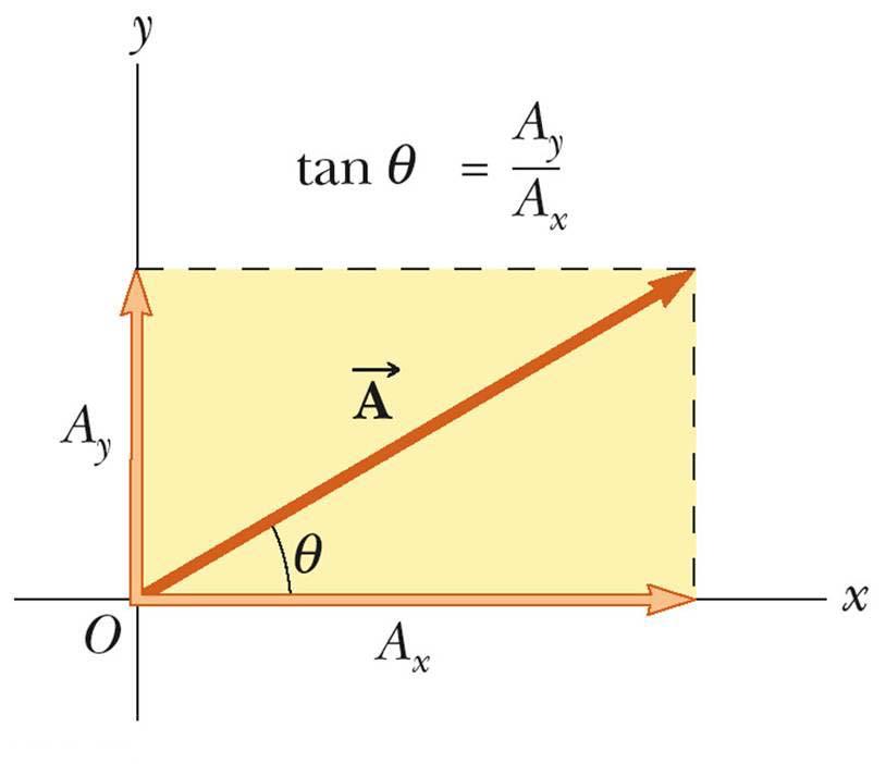 Компоненте вектора Компоненте вектора су пројекције