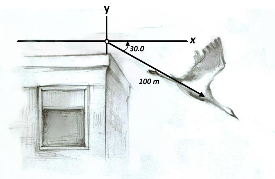 Задатак-компоненте вектора a) Нађи хоризонталну и вертикалну компоненту помераја птице, приказану на слици b) Претпостави да птица