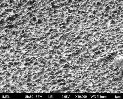 SEM images 30000 2min 4min 10min 20000 10000 Σχήμα 1.
