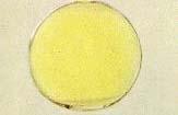 Fluor Svijetložuti plin, F 2 (g), otrovan, izaziva opekline. lat. fluere teći Prvi je puta dobiven 1886.