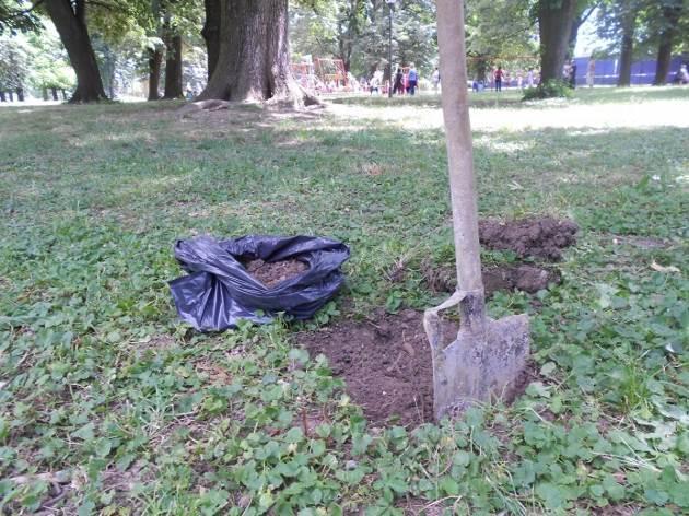 Недостатак финансијских средстава условио је мали број узорака, стога смо одабрали локације које су најрепрезентативније: