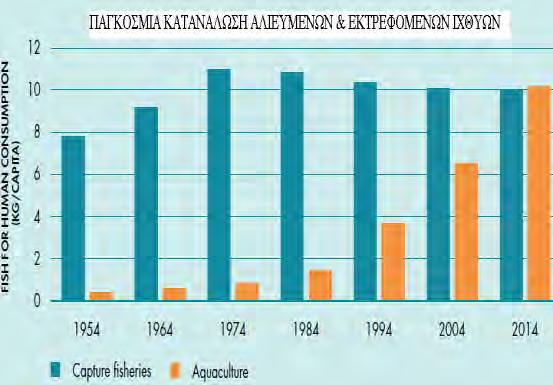 Σχήμα 2. Διαχρονική Εξέλιξη της παγκόσμιας κατανάλωσης από τις Υδατοκαλλιέργειες (Aquaculture) και την Αλιεία (Capture fisheries).