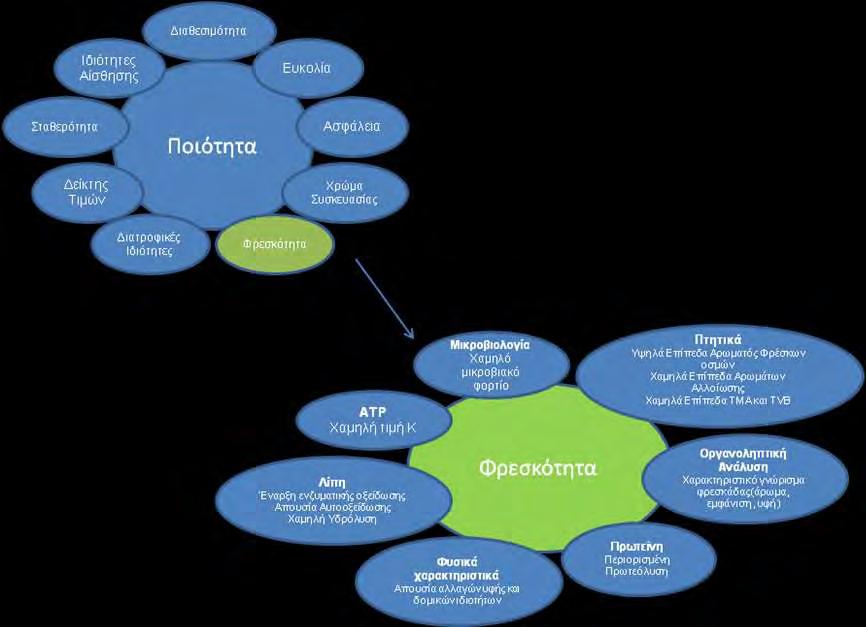 η σχέση της ποιότητας και της φρεσκότητας, εστιάζοντας στα διαφορετικά χαρακτηριστικά της φρεσκότητας ως προσέγγιση από διαφορετικές υποομάδες.
