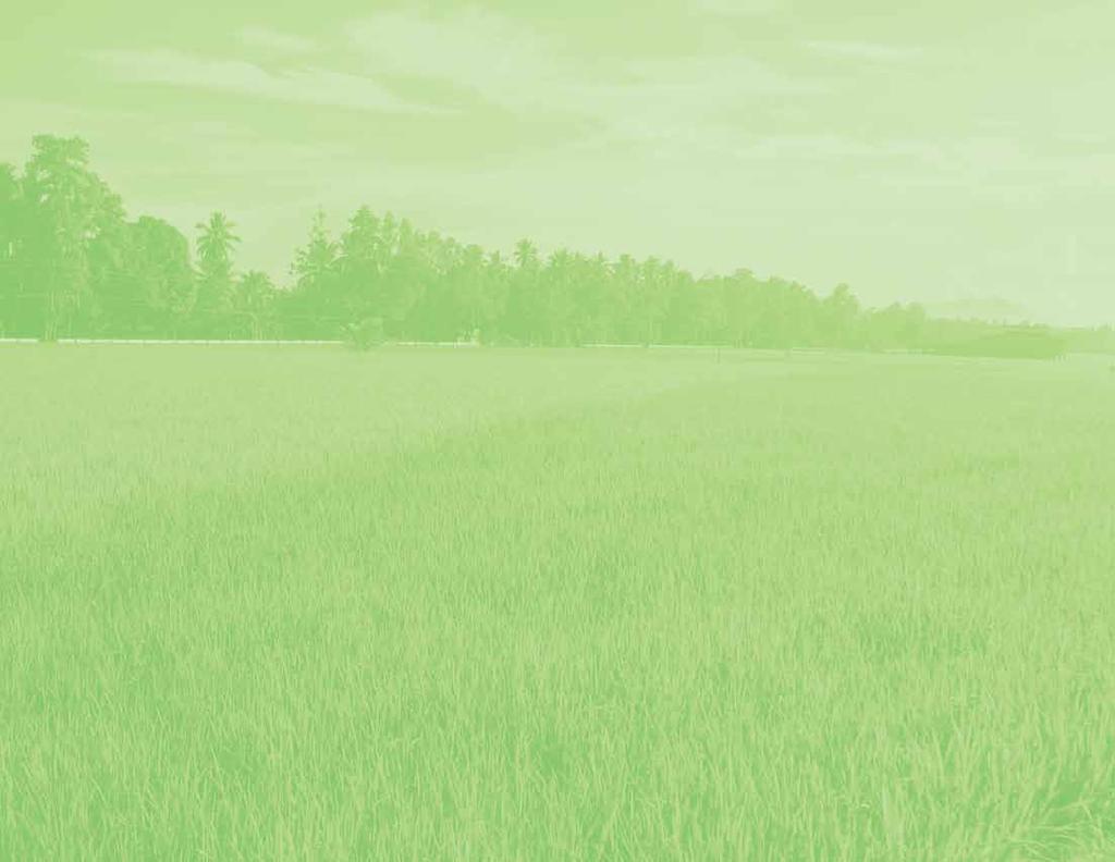 GENERAL INFORMATION ON THE RICE CROP INSURANCE PROGRAM OBJECT OF INSURANCE The object of insurance shall be the standing rice crop planted on the farmland specified in the insurance application and