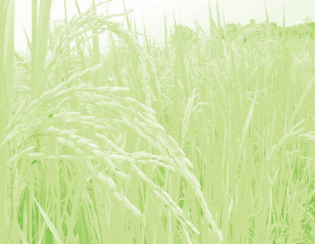 FARM ELIGIBILITY The farm must not be part of a riverbed, lakebed, marshland, shoreline or riverbank; The farm must have an effective irrigation and drainage systems.