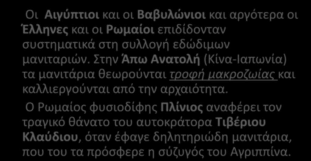 Οι Αιγύπτιοι και οι Βαβυλώνιοι και αργότερα οι Έλληνες και οι Ρωμαίοι επιδίδονταν συστηματικά στη συλλογή εδώδιμων μανιταριών.