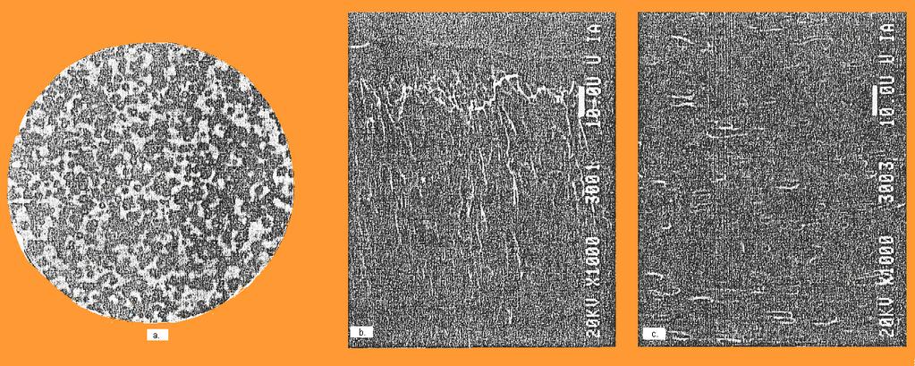Figura 5-9 prezintă o microstructură tipică a aliajului Ni-Ti la temperatura camerei.