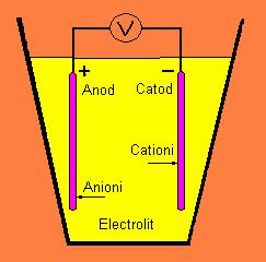 Figura 5-10. Celulă electrochimică. Electrolitul, care conţine ioni în soluţie, are rolul de a completa circuitul electric. În corpul uman, ionii necesari se găsesc în număr mare în fluidele din corp.