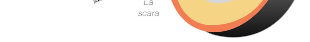 Doar puţie ditre cutremure sut precedate de ate-şocuri proveid di zoa hipocetrală, sugerâdu-se folosirea acestora petru prezicerea şocurilor pricipale.