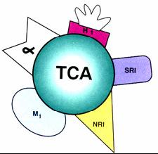 Antidepresivi Inhibitori preuzimanja neurotransmitera Inhibitori monoaminooksidaze eselektivni Selektivni inhibitori preuzimanja monoamina Triciklični Druga/treća generacija TRICIKLIČI ATIDEPRESIVI