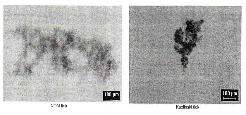 flokulacija, čak za potpuno destabilizirane čestice, biti spora. Formiranje novih čestica (hidroksid taloga) značajno povećava brzinu flokulacije.
