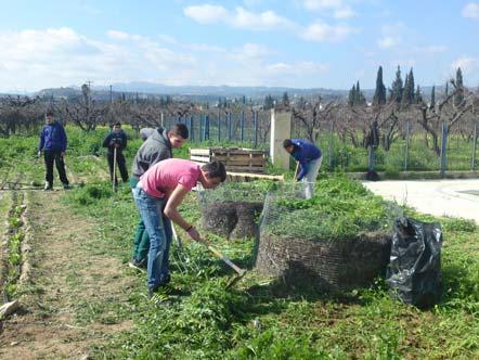 Αξίζει να σημειωθεί ότι όλα τα κλαδέματα,