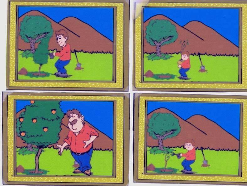 ייצוג תמונתי דו