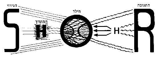 חוזר לניסיון הסביבתי (צוריאל 1998, שפיר 1994). לאחר שהחניך קלט את הגירוי והגיב עליו, המתווך מתייחס לתגובת-החניך ומקנה לה משמעות קוגניטיבית או חברתית (צוריאל 1998).