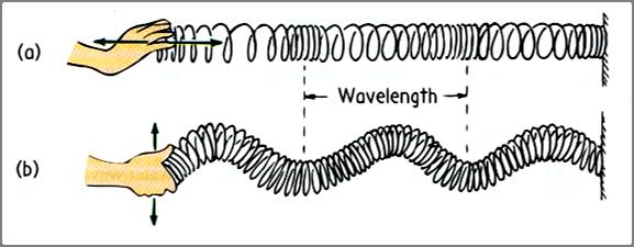 gelombang Gelombang air Spring Slinky