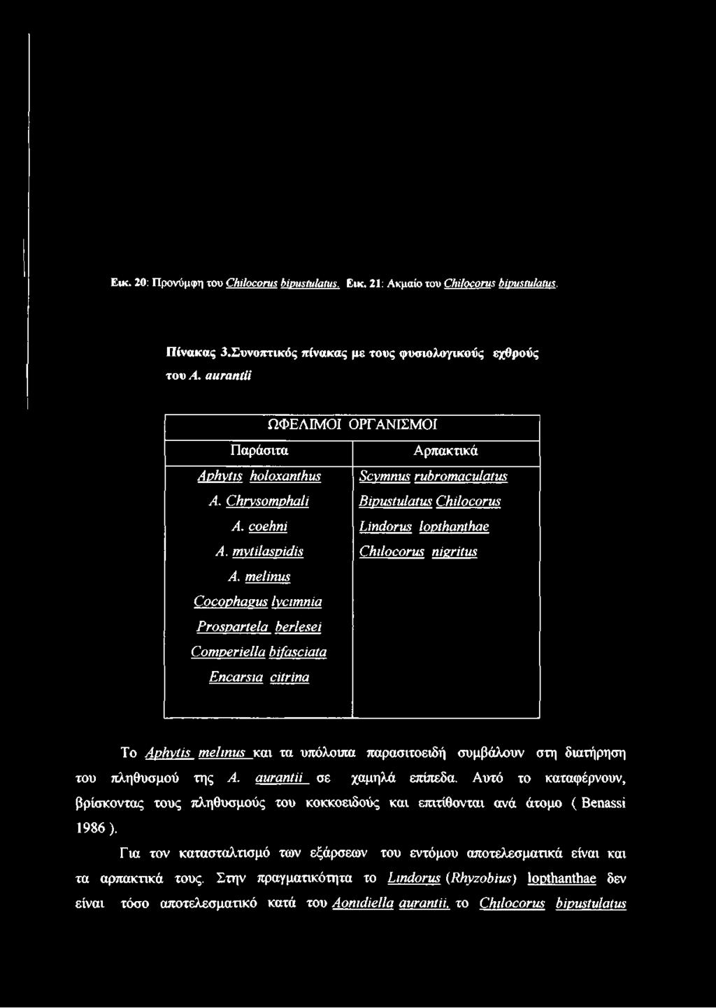 οοβϊιηί υηάοηΐδ ΙορίΗαηίϊιαβ Α. ητνίίΐαδρίάίδ αιιΐοεοηΐϋ ηίζτίίμ Α. ηιβίίηιιζ ΟοοορΗαΰ.