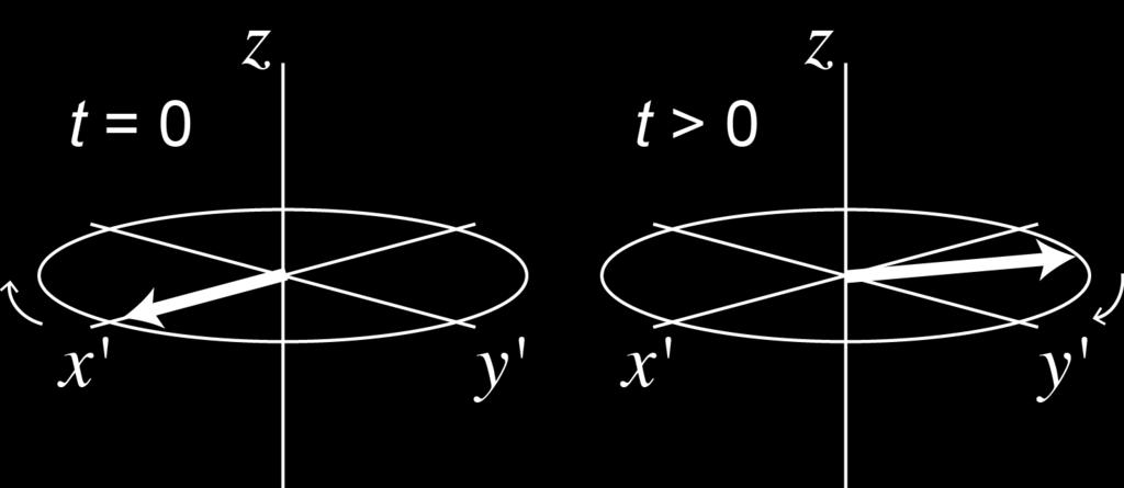 Example: Precession of x Magnetization in B 0 So, both ρ 12 and ρ 21 change with time, and we can solve for their time dependence [ ] d ρ 12 (t) dt d ρ 21 (t) [ ] dt = iγb 0 ( ρ 12 (t)) = iω 0 ρ 12