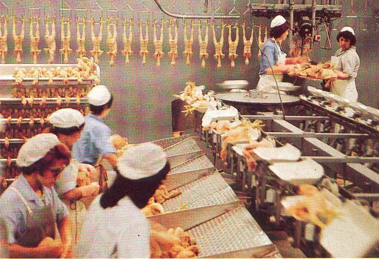 circulat şi se impune filtrarea. - Magazinele alimentare: - Sălile de vânzare; - Vitrine pentru prezentarea şi comercializarea produselor.