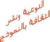 مسار تطبيق النموذج الوطني