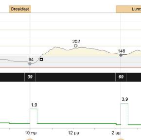 bolus =