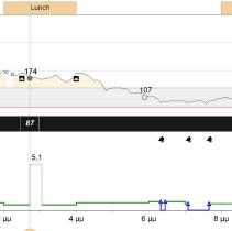 bolus =