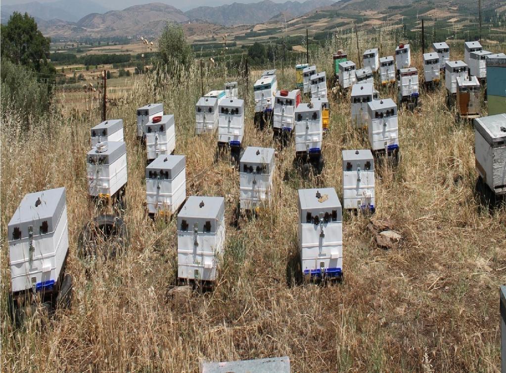 Η βαθμολογία τους θα ανακοινώνεται έτσι όλοι να γνωρίζουν την αξία τους 4.
