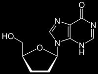 didanozín 2',3'-dideoxyinozín, ddi; 9-[(2R,5S)-5-(hydroxymetyl)oxolan-2-yl]-3H-purin-6-ón, C 36 H 56 O 6, M r 236,23; virostatikum, ktorého účinok je daný inhibíciou replikácie včasného štádia tvorby