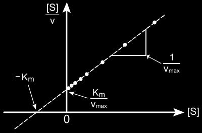 Γραφικές παραστάσεις της εξίσωσης Michaelis- Menten Υπολογισμός των Κ m και V max Διάγραμμα Michaelis-Menten