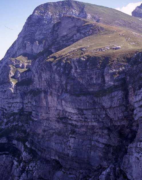 SEDIMENTNE KAMNINE Kamninski krog Sedimentne kamnine Okoli 70 % kamnin na Zemljinem površju je