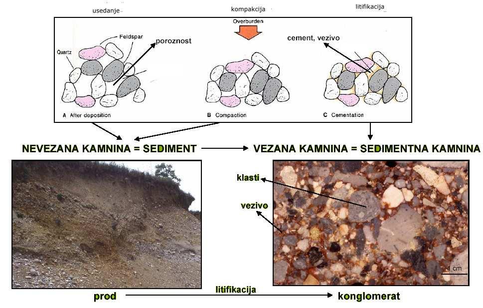 Delimo jih izključno na osnovi velikosti sedimentnih zrn.