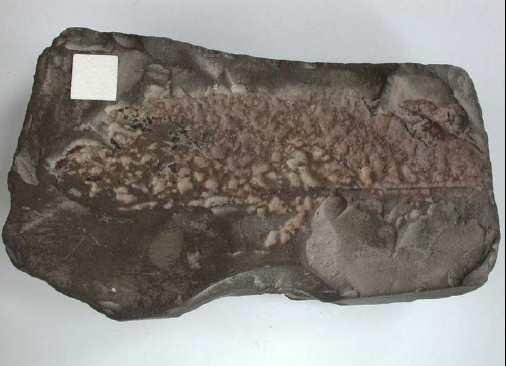 razred mulja je tako definiran kot klastična sedimentna kamnina, ki jo sestavljajo zrna manjša od 0,063 mm ali povedano drugače: MULJ = MELJ + GLINA LAPOR,