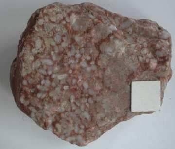 Klasifikacija biokemičnih sedimentnih kamnin biokemične sedimentne kamnine delimo na osnovi bistvenega minerala,