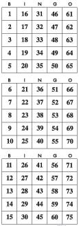 Као и у претходној игри Бинго, побјеђује онај играч који први комплетира редак, колону, или дијагоналу изабраних бројева. Шведски Бинго је слична игра.
