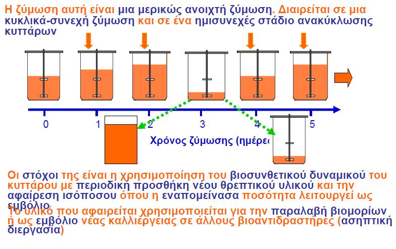 Ημισυνεχούς έργου