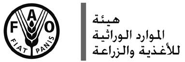 معايير بنوك