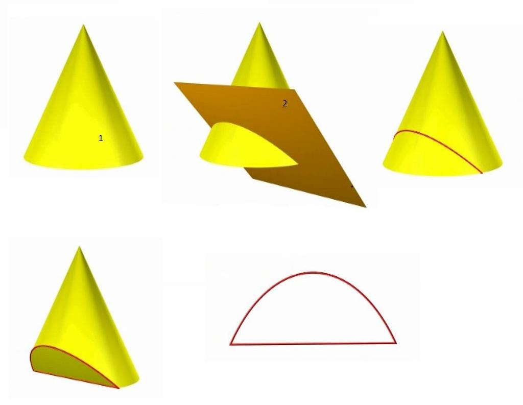 . ПАРАБОЛА Парабола је крива у равни, која може да се представи као конусни пресек настао пресеком равни са правилном купом, при чему је раван паралелна са изводницом конуса.