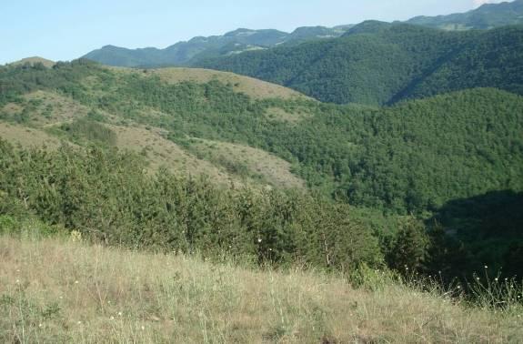 ПОТЕНЦИЈАЛНЕ ПОВРШИНЕ ЗА ПОШУМЉАВАЊЕ 241 саобраћајнице.просторним планом предвиђено је подизањезаштитних шума уз саобраћајнице на укупној површини од 52.700 ha.