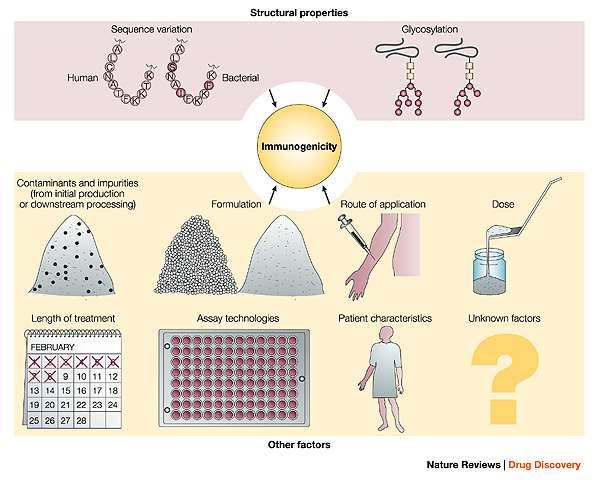 Problemi pri uporabi biofarmacevtikov Problem imunogenosti razlogi so: razlike v aminokislinskem zaporedju razlike v glikozilacijskem vzorcu nečistoče v končnem