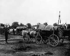 БАЛКАНСКИТЕ ВОЈНИ III-20. Бегството на муслиманите, октомври 1912 Тргнавме, но беше, речиси, невозможно да се напредува. Патот беше блокиран со запрежни коли, стока, жени и деца што се движеа без ред.