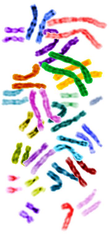 Metode za odkrivanje/analizo mutacij Celična biologija z genetiko 1. letnik UŠ LBM, št.