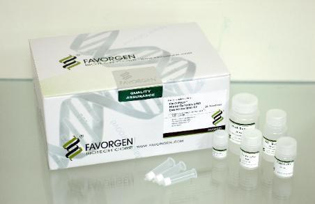 Purifikacija/koncentriranje DNA (precipitacija v alkoholu centrifugiranje raztapljanje v majhnem volumnu prečiščene vode ali pufra) Domača naloga: Izolacija DNA v kuhinji: http://learn.
