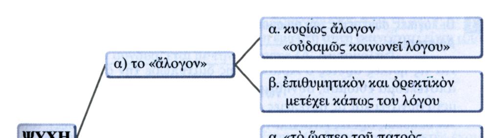 Ηθικά Νικοµάχεια 02.2 1. Αρετή - Ήθος - έθος Η ανθρώπινη αρετή διακρίνεται σε δύο κατηγορίες: i. στις διανοητικές αρετές (σοφία, σύνεση κλπ.