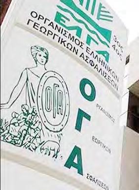 όσο και με τους πολλούς και ποιοτικούς παίκτες που ανέδειξε τα τελευταία χρόνια, με θητεία σε μεγάλες ομάδες, φορώντας ακόμη και την γαλανόλευκη φανέλα.