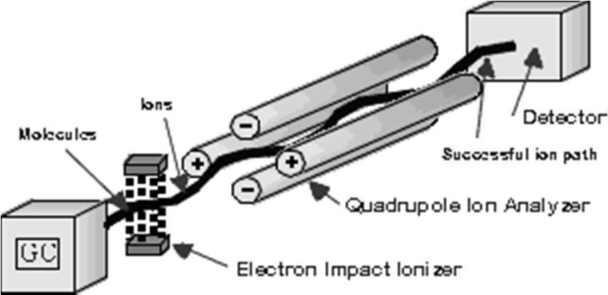 Kvadrupolni masni analizatorji Kompaktni in robustni cenejši hiter čas scaniranja